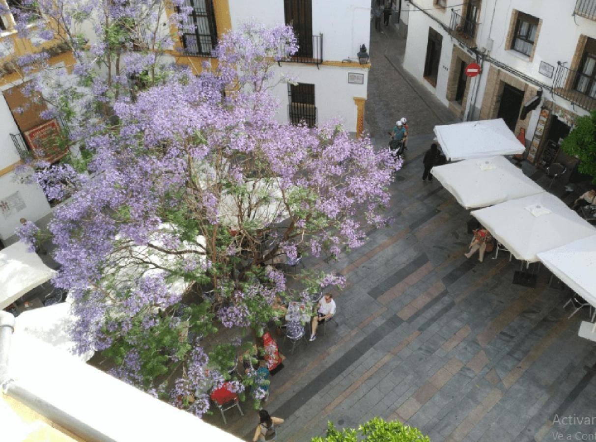 La Casa De La Musica Apartment Cordoba Ngoại thất bức ảnh